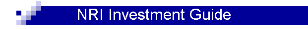 NRI Investment Guide
