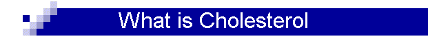 What is Cholesterol