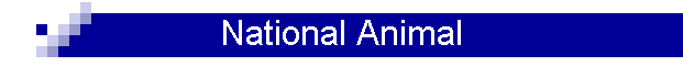 National Animal