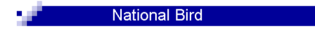 National Bird