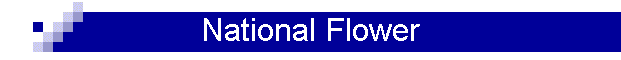 National Flower